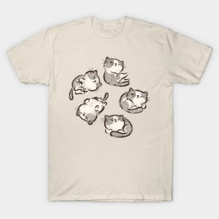 Kitten cat relax T-Shirt